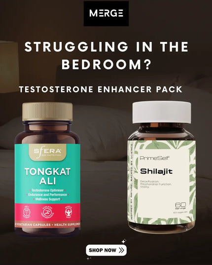 Bedroom Performer MERGE