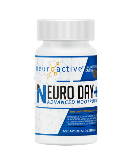 Neuro Day + NeuroActive