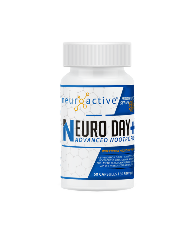 Neuro Day + NeuroActive